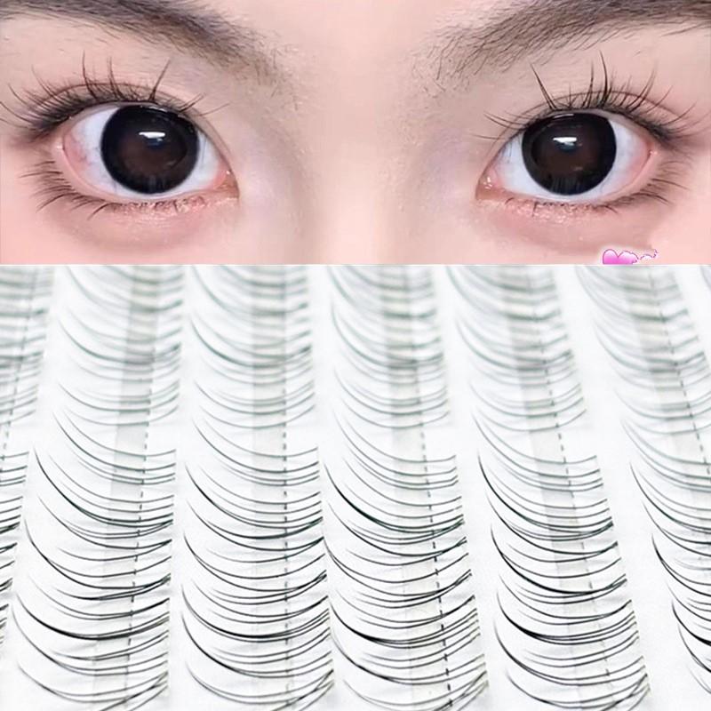 Ekstensi Bulu Mata Fox Eye Wis - Eyelash Extension Fox Eye ulasan dan harga